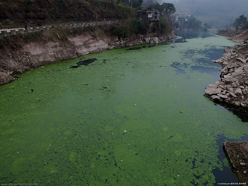 水質(zhì)檢測儀檢測水質(zhì)的健康狀況 水質(zhì)檢測儀檢測水質(zhì)的健康狀況