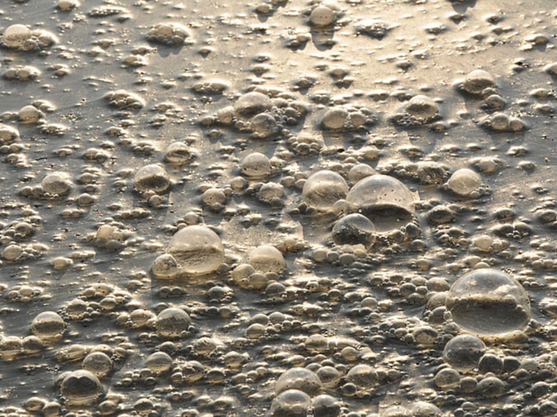 在線COD檢測儀可滿足各行各業的監測需求 在線COD檢測儀可滿足各行各業的監測需求