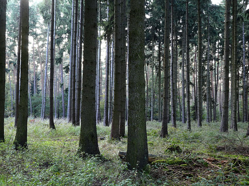 負(fù)氧離子監(jiān)測(cè)系統(tǒng)可實(shí)時(shí)監(jiān)控空氣質(zhì)量