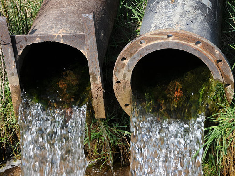 云唐生物毒性測(cè)試儀更智能！