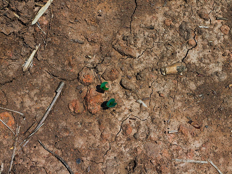 土壤肥料養分檢測儀可減少肥料引起的環境污染 土壤肥料養分檢測儀可減少肥料引起的環境污染