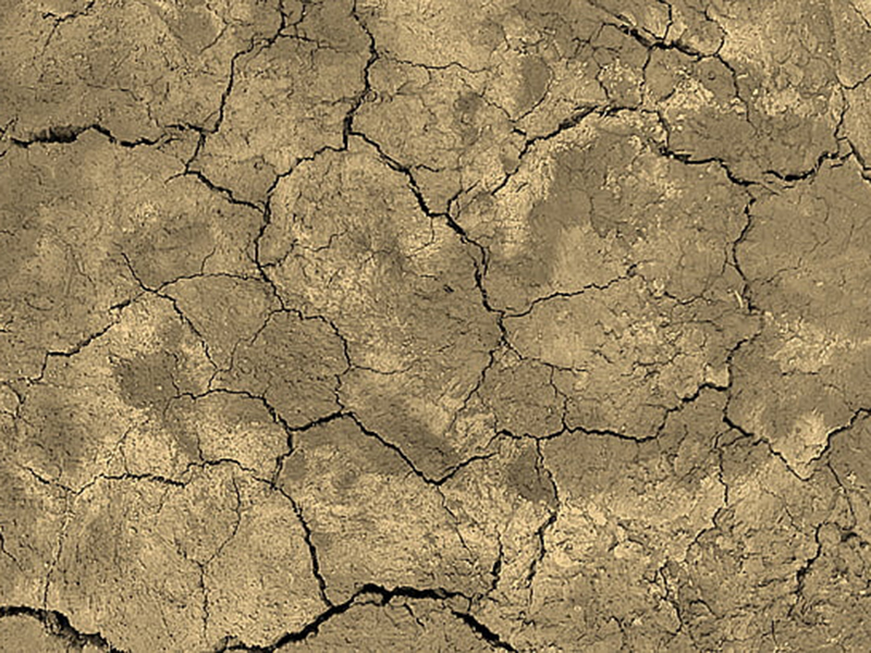 土壤酸堿化的危害 土壤酸堿化的危害