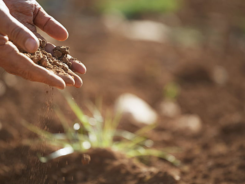 土壤肥料養(yǎng)分檢測儀靠譜嗎 土壤肥料養(yǎng)分檢測儀靠譜嗎