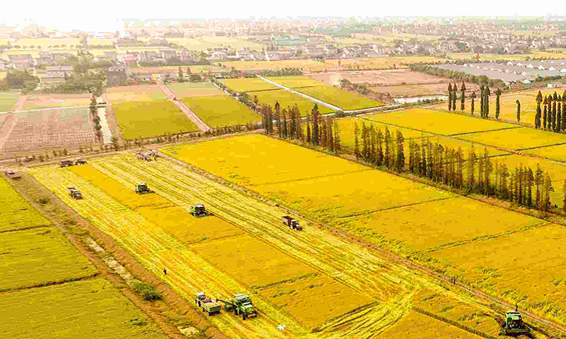 蔬菜農藥殘留檢測儀