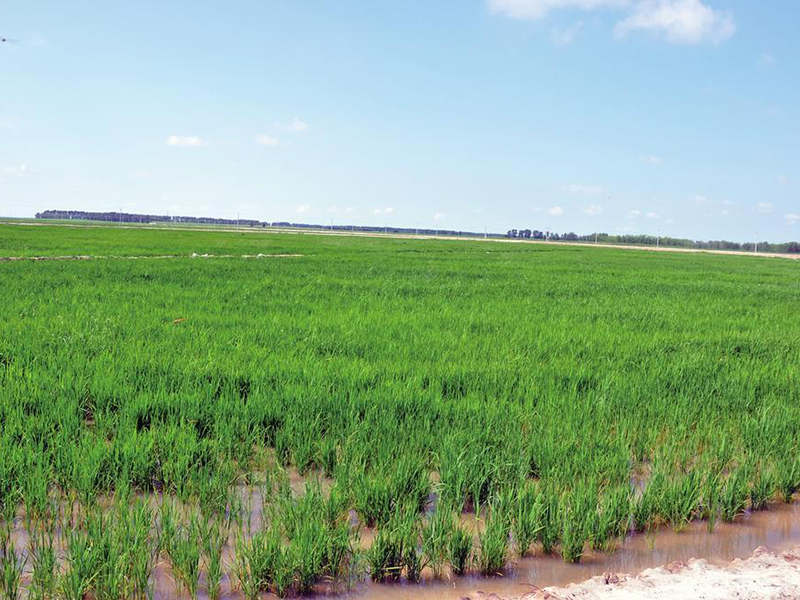 土壤養分快速檢測儀 13.jpg