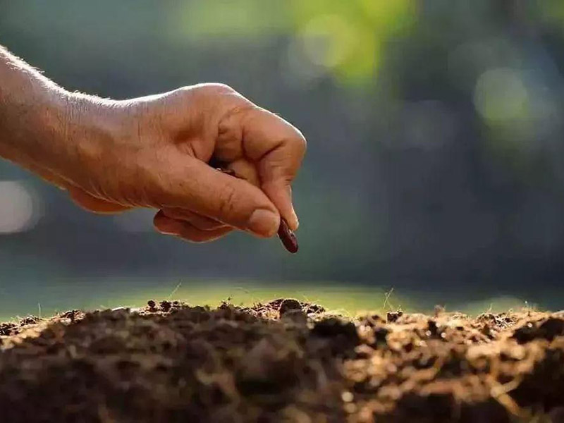 土壤有機質含量的檢測 10.jpg