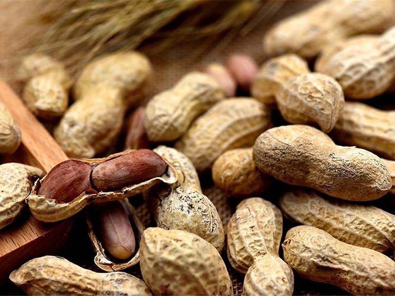 怎樣檢測食物中的黃曲霉毒素 怎樣檢測食物中的黃曲霉毒素