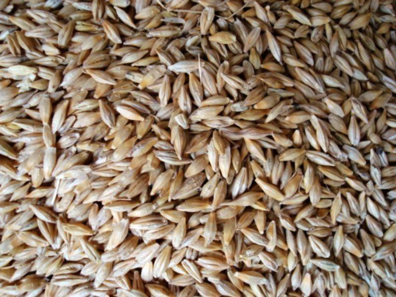 糧食重金屬檢測儀，滿足現(xiàn)場檢測需求