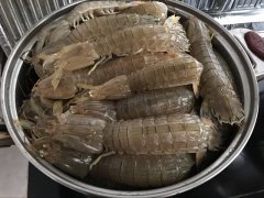 皮皮蝦中為什么會被檢測出鎘超標？