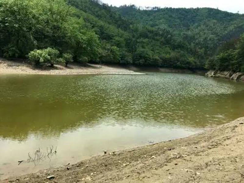 水產(chǎn)養(yǎng)殖檢測儀,為水源保護(hù)提供精準(zhǔn)數(shù)據(jù) 水產(chǎn)養(yǎng)殖檢測儀,為水源保護(hù)提供精準(zhǔn)數(shù)據(jù)