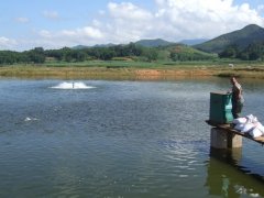 水產養殖檢測儀，為水產提供優良的生長環境