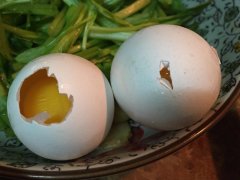 雞蛋中會含有哪些藥物殘留？