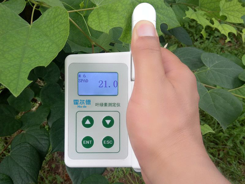 葉綠素含量測量儀,可用于植物施肥的依據 葉綠素含量測量儀,可用于植物施肥的依據